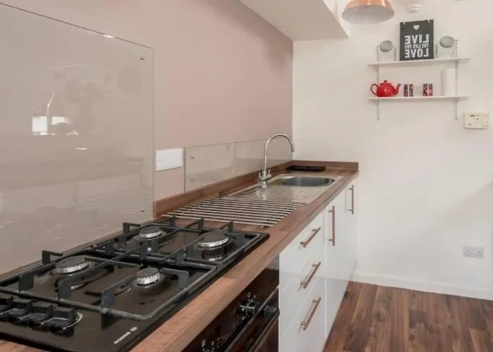 Spacious Calton Rd Apt looking over Calton Hill